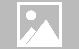 东平免编程制作网站（免编程制作网站推荐）